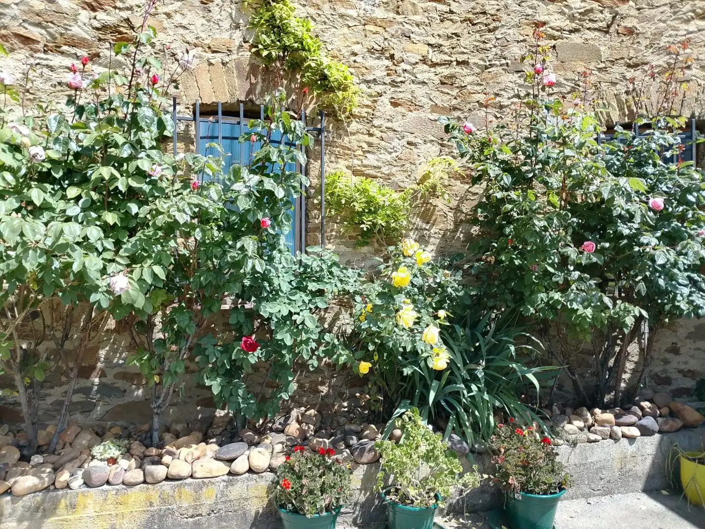 Finca rústica en Santa María de Ordás - Foto 10