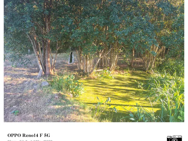 Casa de pueblo en Entenza, 8 - Foto 21