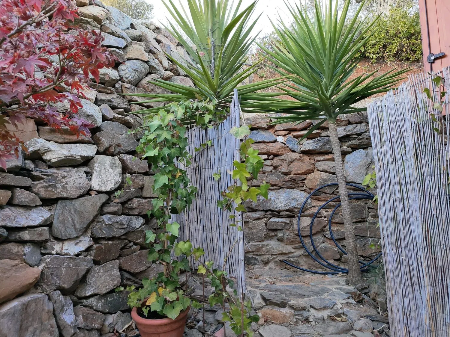 Casa rural en calle Olías, 1 - Foto 26