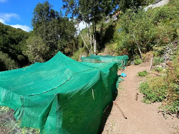 Finca rústica en Hermigua - Foto 15