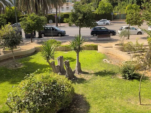 Piso en Urbanización El bosque, 26, El Altillo - Foto 1