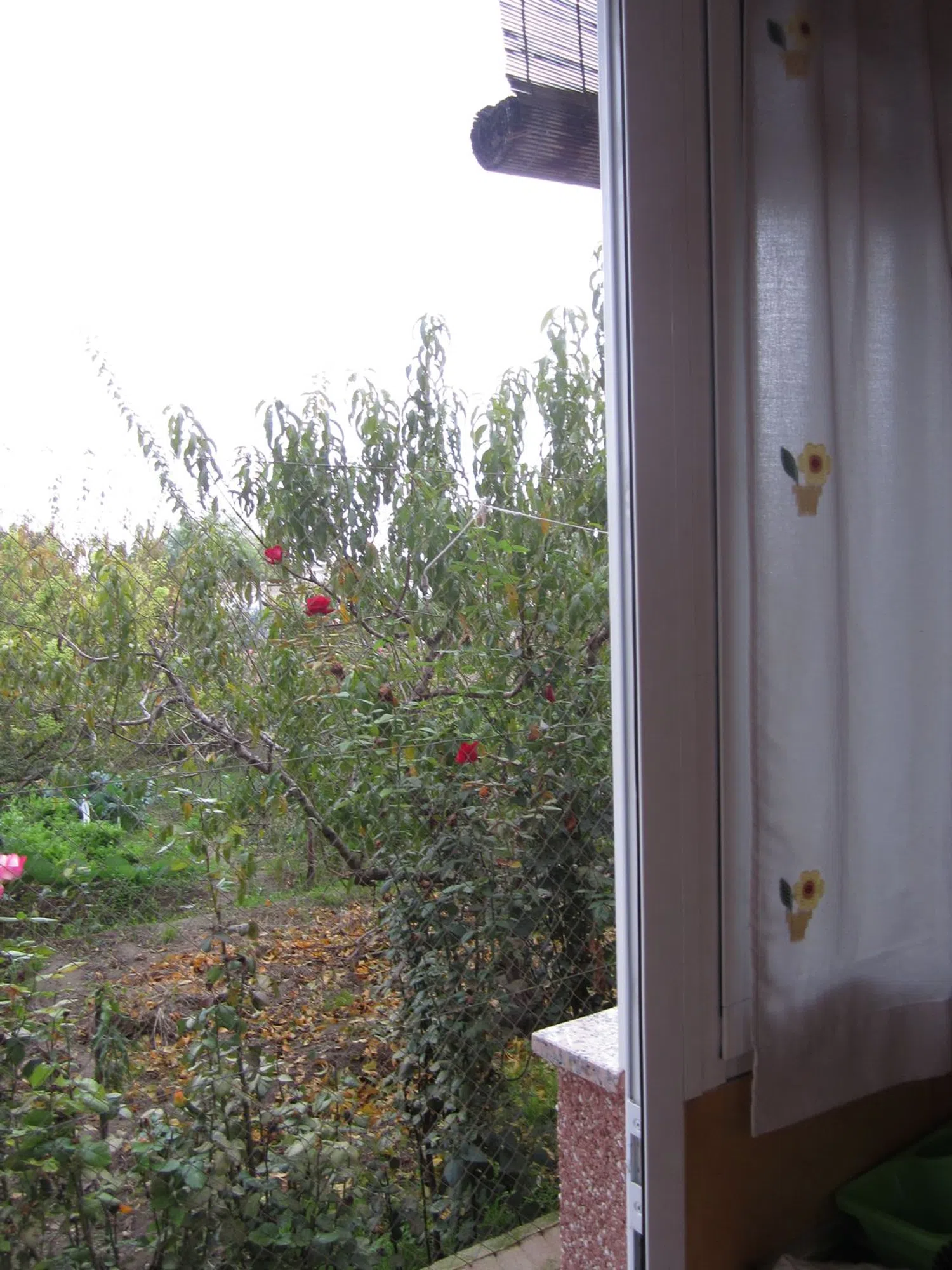 Estudio en camino Peretas, 13 - Foto 5