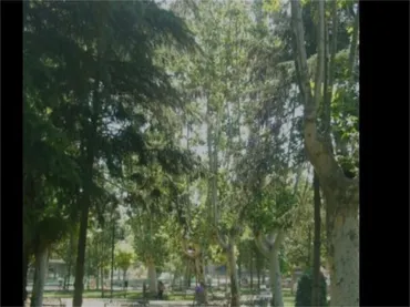 Piso en  Avenida de los Comuneros 1 - Foto 14