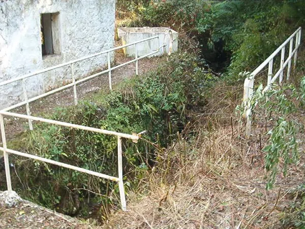 Finca rústica en Camino de los Molinos s/n - Foto 13