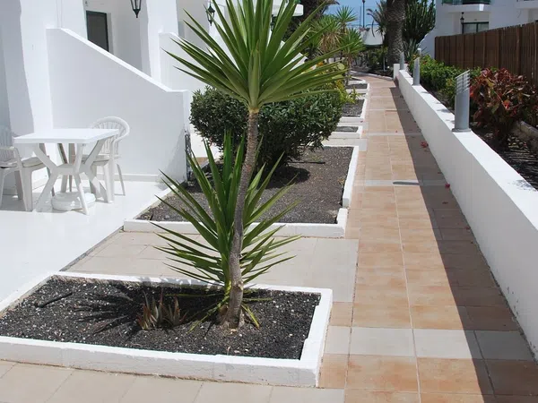 Piso en Avenida Fuerteventura, 33, Corralejo, Corralejo - Foto 12