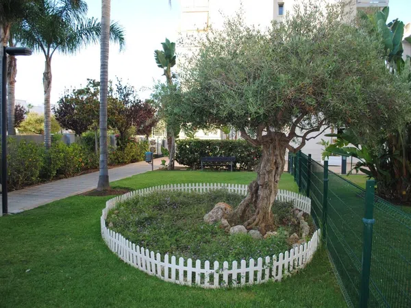 Piso en Camino Viejo de Vélez, 2 b, Playa del Rincón, Playa del Rincón - Foto 17