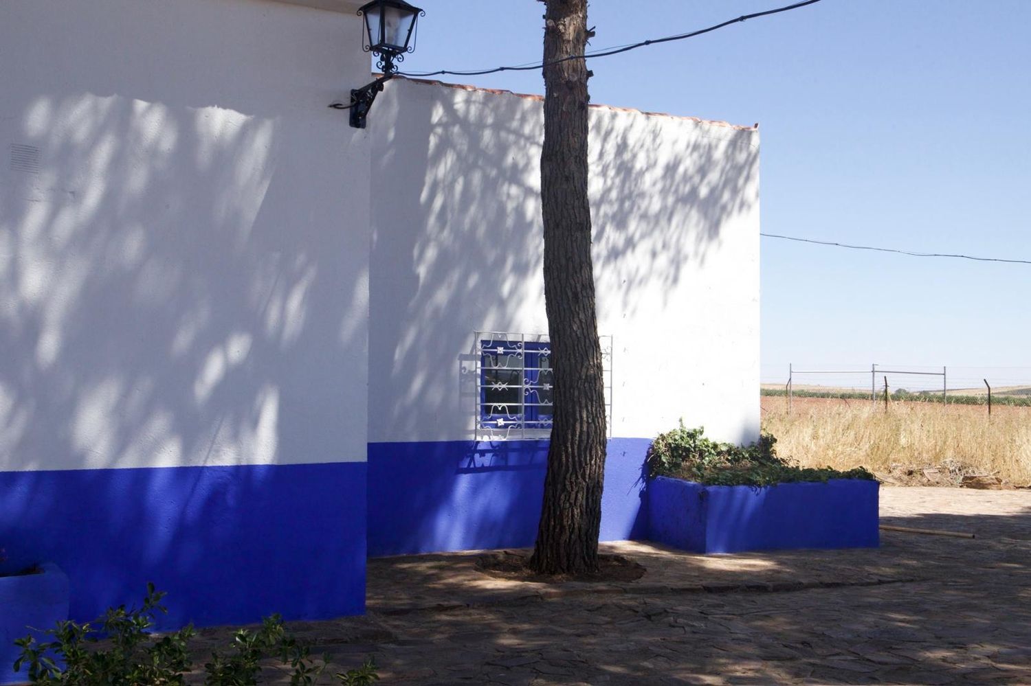 Casa o chalet independiente en Camino la Calera Blanca s/n - Foto 6