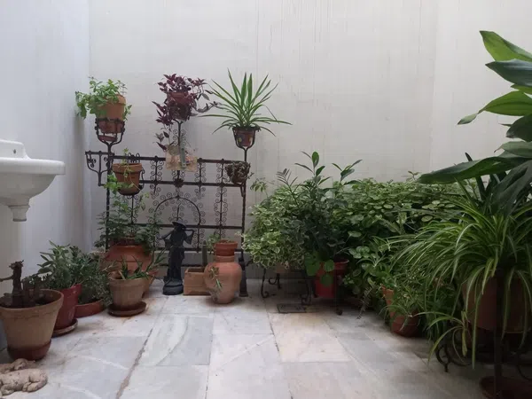 Piso en Calle Adriano, 20, Arenal - Museo - Tetuán - Foto 22