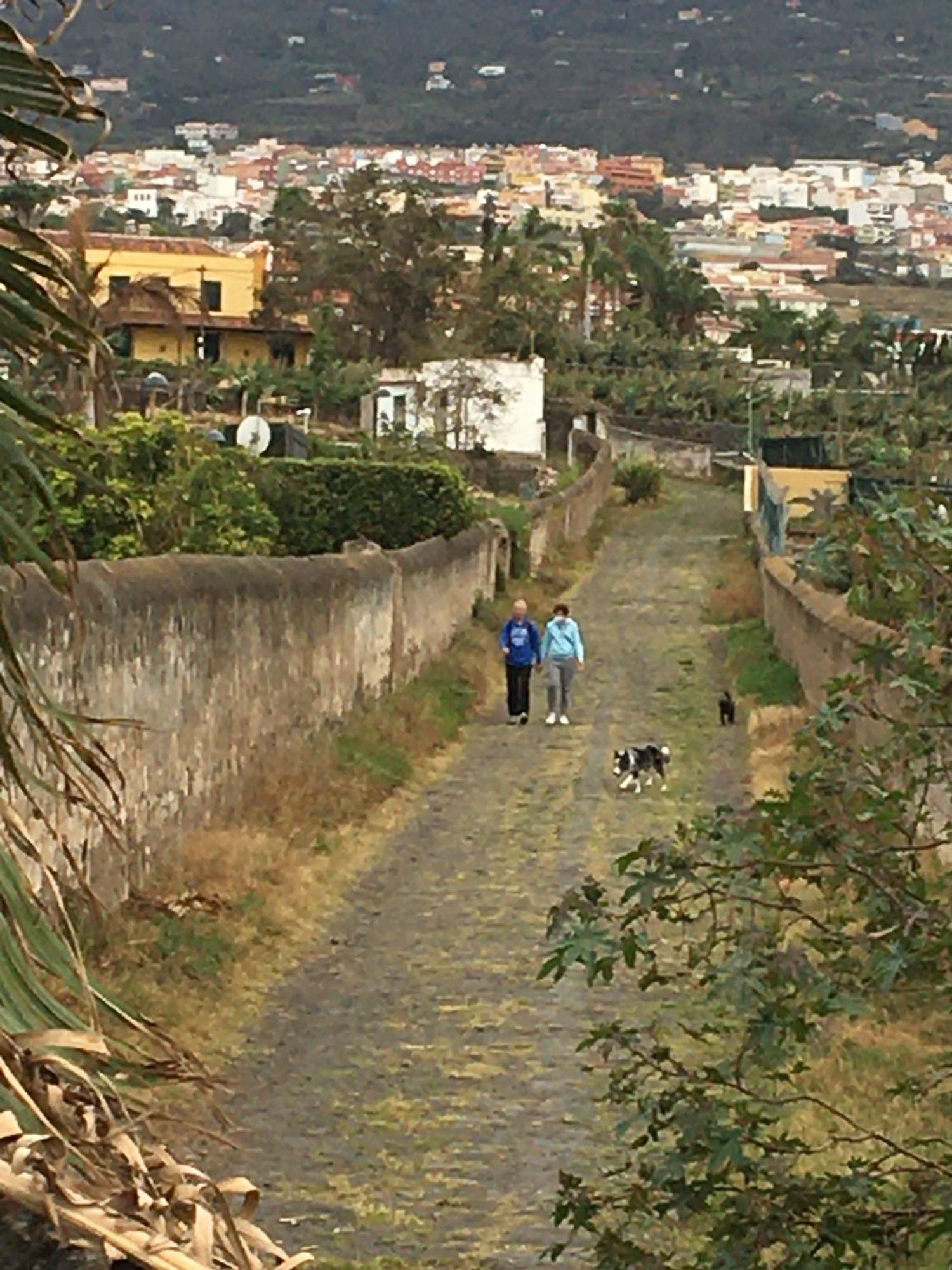 Casa independiente en calle Violeta del Teide, 2 - Foto 4