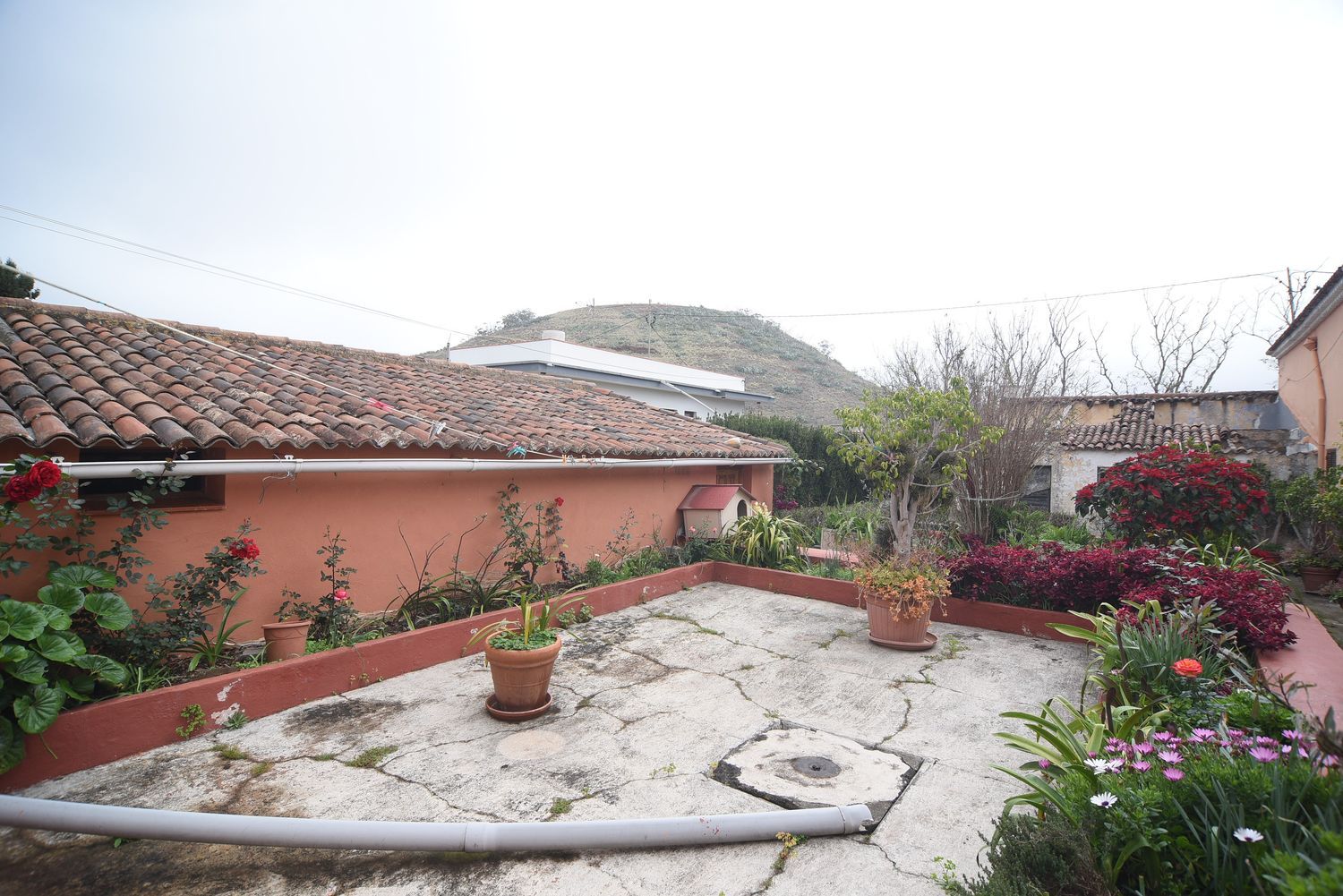 Casa terrera en Calle la Caridad, 1, Tacoronte - Los Naranjeros, Tacoronte - Los Naranjeros - Foto 14
