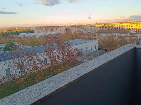 Piso en oropendola, 42