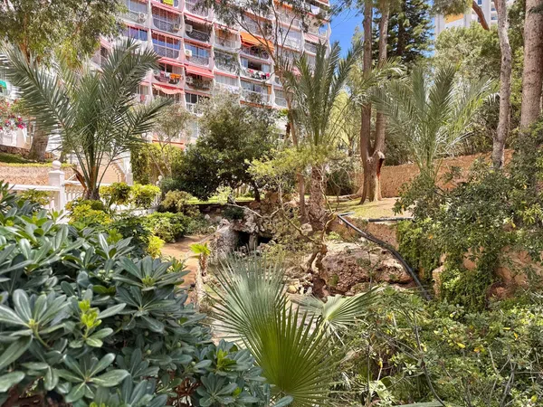 Piso en Avenida de Montecarlo, 14, Zona Sierra Helada - Foto 21