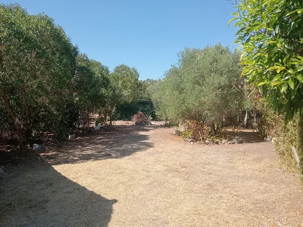 Finca rústica en Son santandreu, 541 - Foto 12