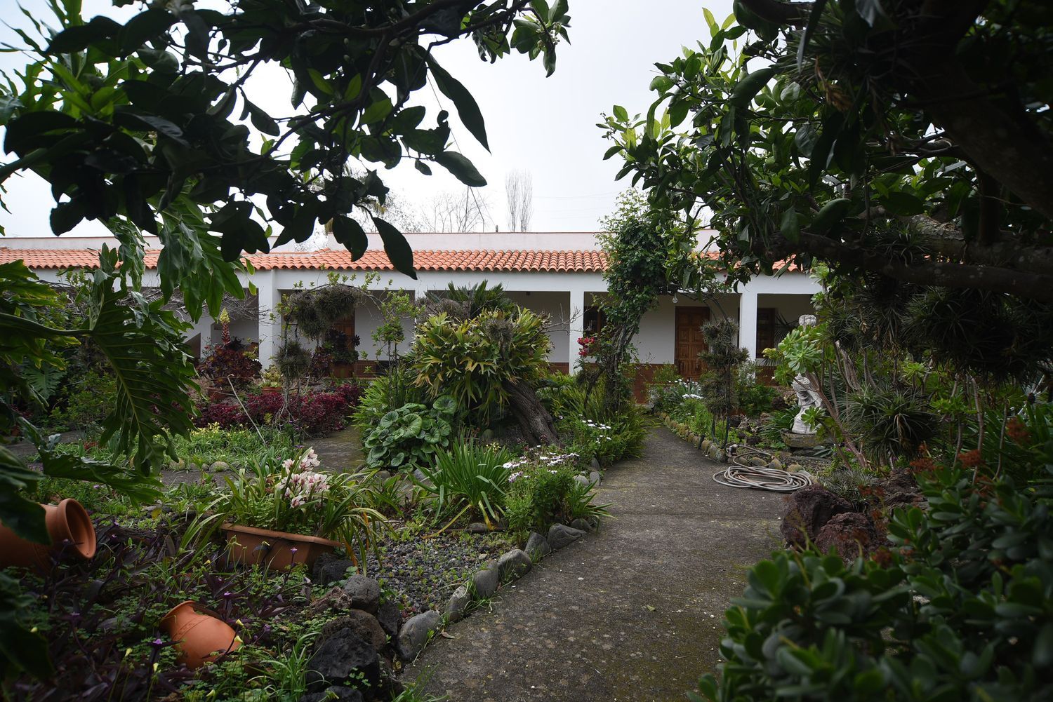 Casa terrera en Calle la Caridad, 1, Tacoronte - Los Naranjeros, Tacoronte - Los Naranjeros - Foto 12