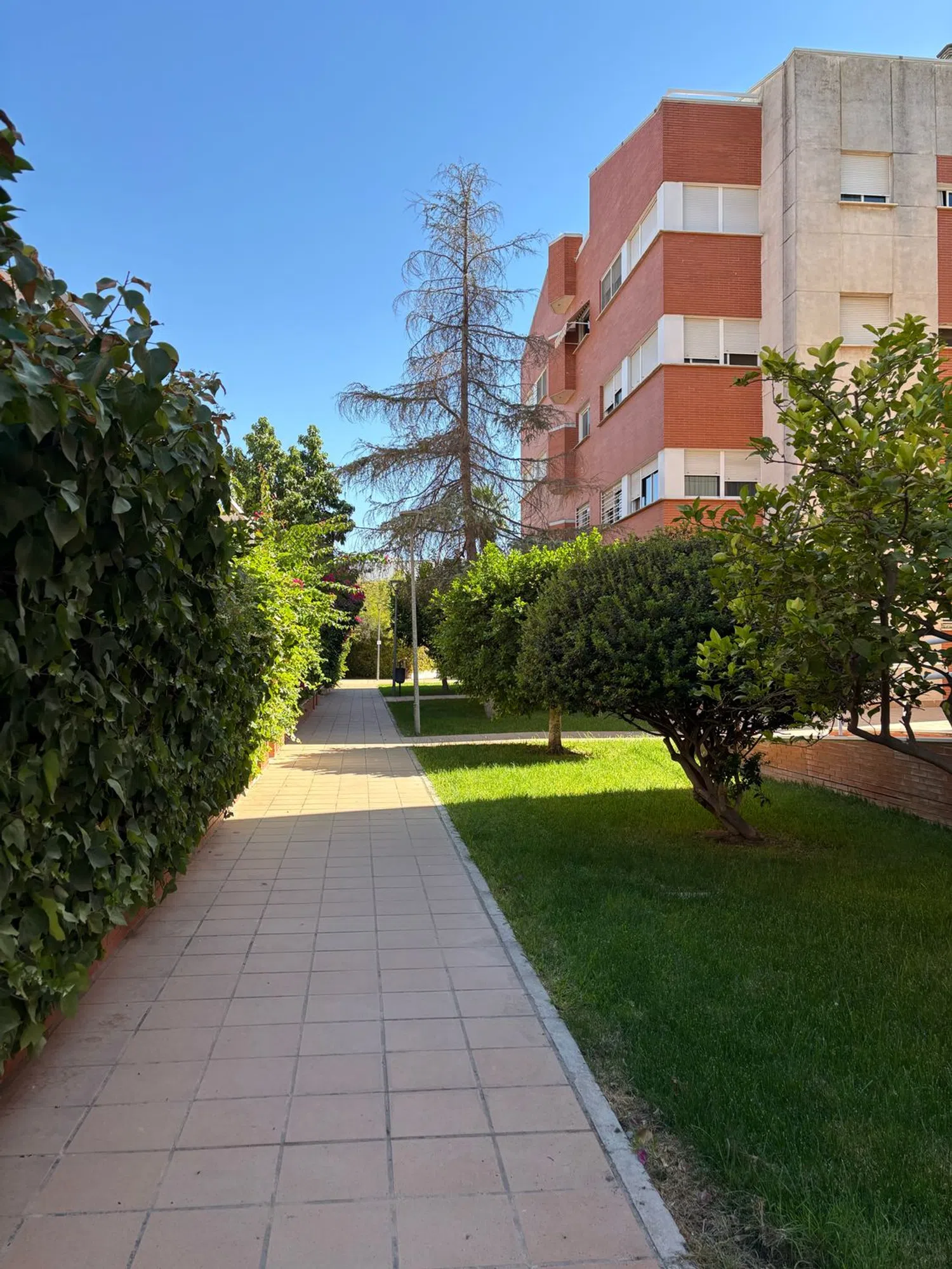 Piso en avenida de Dinamarca, 31 - Foto 14