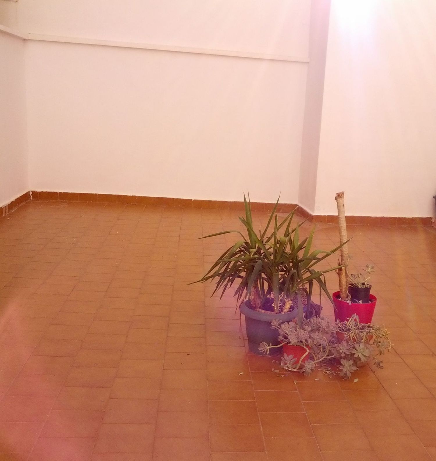 Piso en Calle Octavio Cuartero, 70 -90, Villacerrada - Centro, Villacerrada - Centro - Foto 30