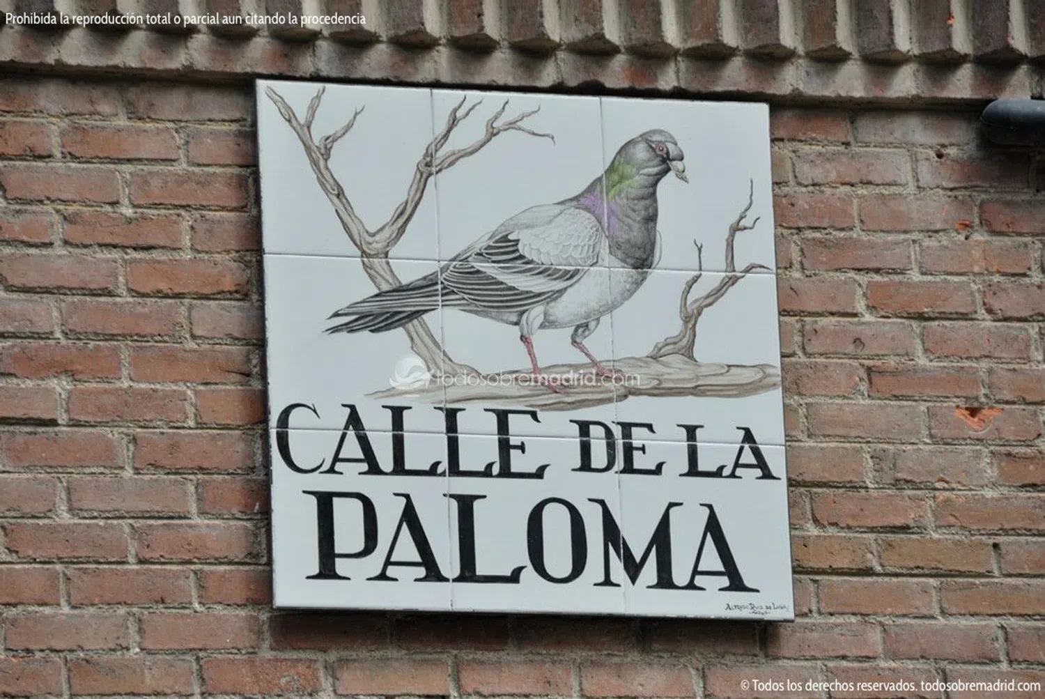 Piso en calle de la Paloma, 10 - Foto 18