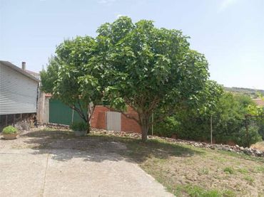Chalet en Loranca del Campo (Cuenca) - Foto 6