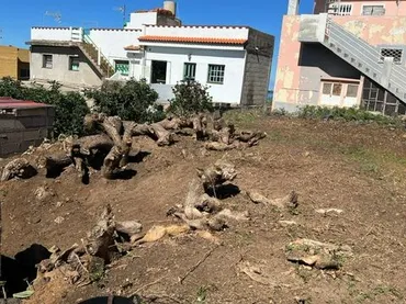 Terreno Residencial en  Calle Los Bajos 47 - Foto 6