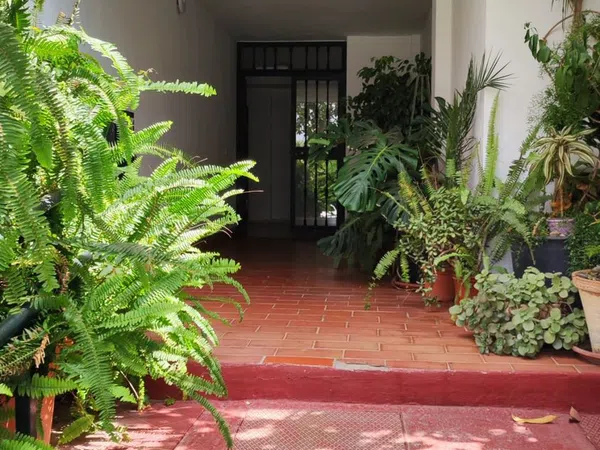 Piso en Parque Elviria, 4, Green Hills - Las Cumbres de Elviria - Foto 23