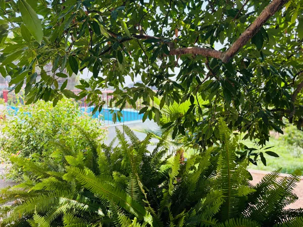 Casa o chalet independiente en Quart de les Valls - Foto 1