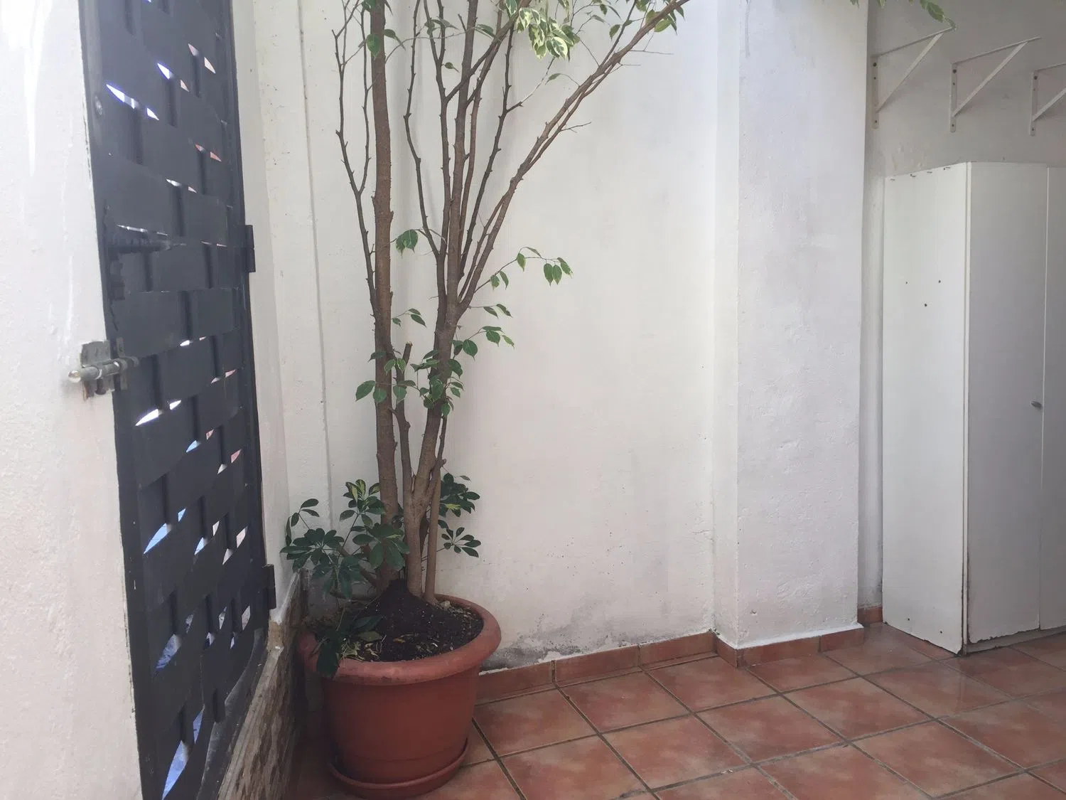 Estudio en calle de Francesc de Bellvís, 33 - Foto 7