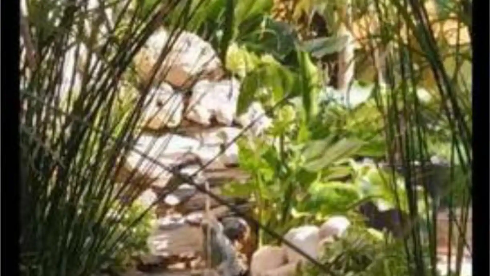 Chalet en Club Camping Bohalar (garrapinillos - Foto 5