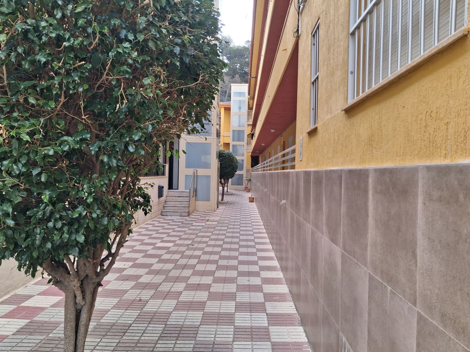 Piso en Calle Geraneos, 6 - Foto 5
