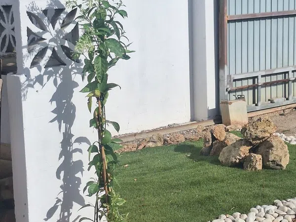 Casa o chalet independiente en Callejón de Borreguitos, 39, Las Lagunas - Campano, Las Lagunas - Campano - Foto 4