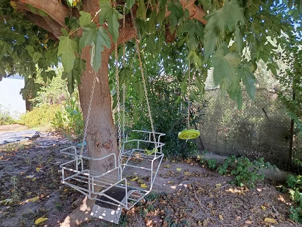 Cortijo en Cortijo en Partida Poligono 22, 220, Zona Llombai, Zona Llombai - Foto 20