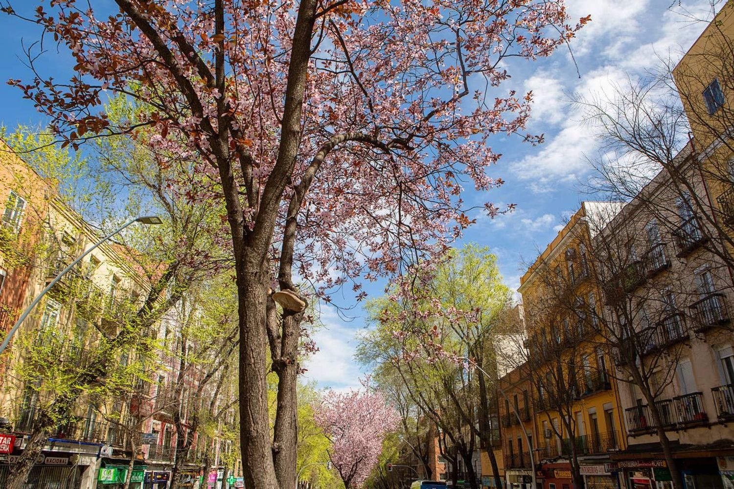 Piso en paseo de Extremadura, 73 - Foto 47