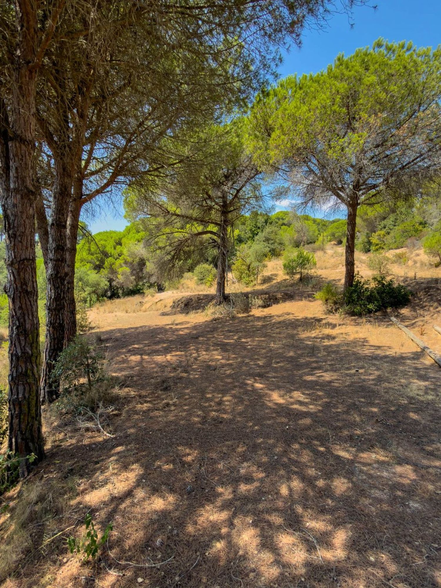 Masía en Masía en Diseminado Veinat de Sant Daniel, 104, Mas Mora - Sant Daniel, Mas Mora - Sant Daniel - Foto 21
