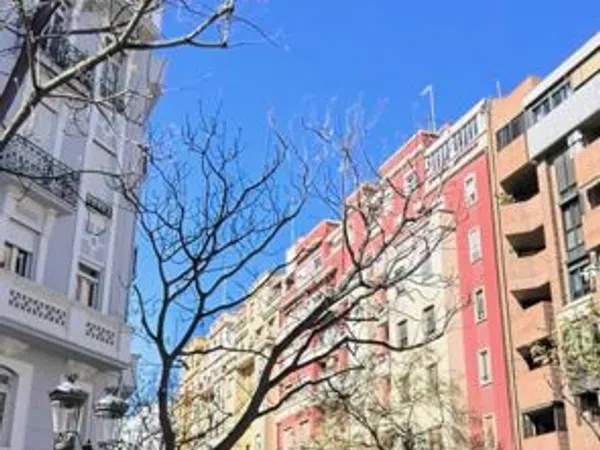 Piso en Calle de Joan Llorenç, 40, La Petxina - Foto 24