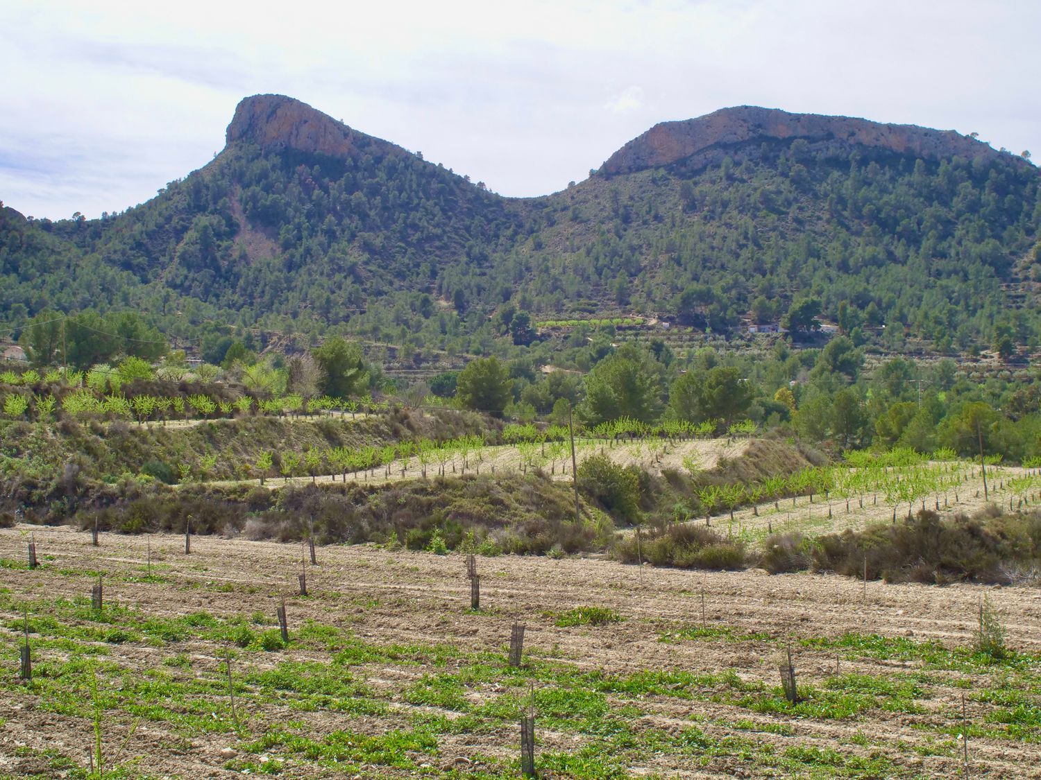 Casa independiente en Partida Almadrava, 1 - Foto 39