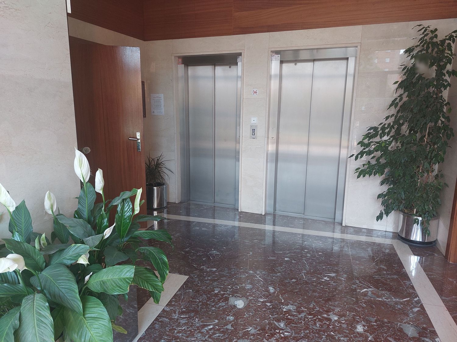 Piso en Calle Monasterio de Irache, 53, San Juan, San Juan - Foto 19