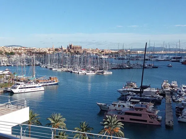 Estudio en avenida de Gabriel Roca, 27 - Foto 1