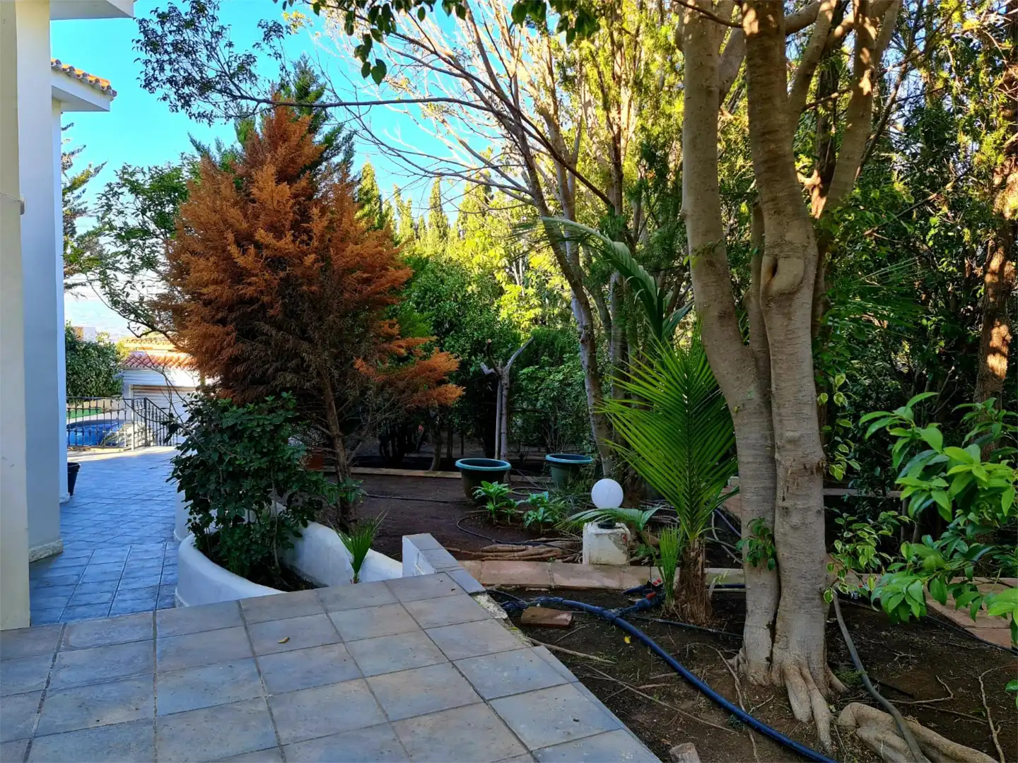 Chalet en  Calle Jumilla 33 - Foto 3