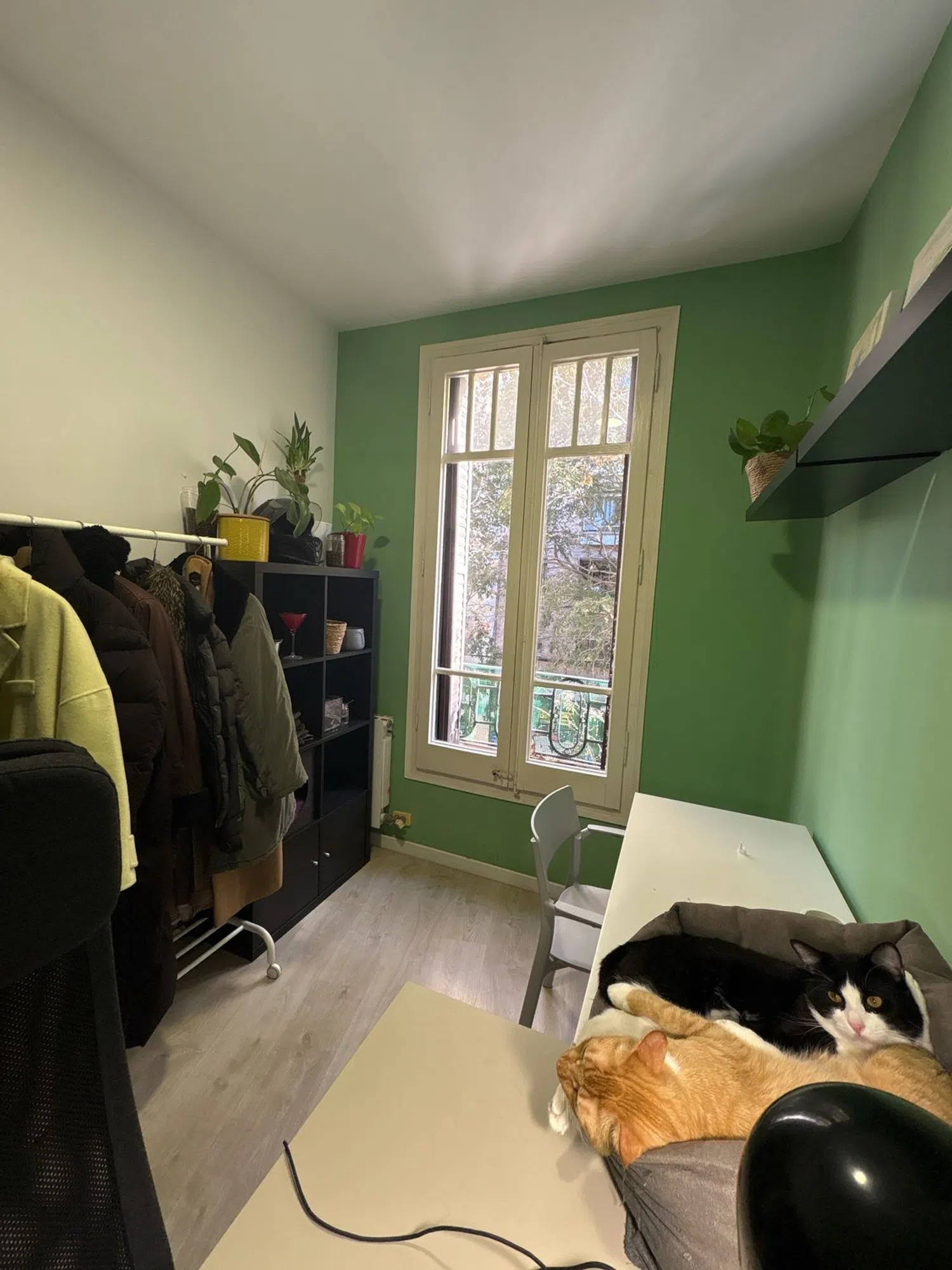 Piso en calle de Provença, 495 - Foto 1