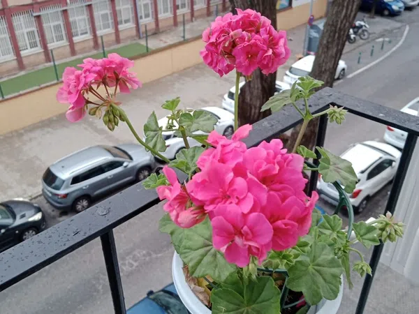 Piso en Juan Diaz de Solis, 6 - Foto 3