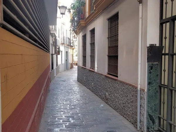 Piso en calle Tintes, 10 - Foto 1