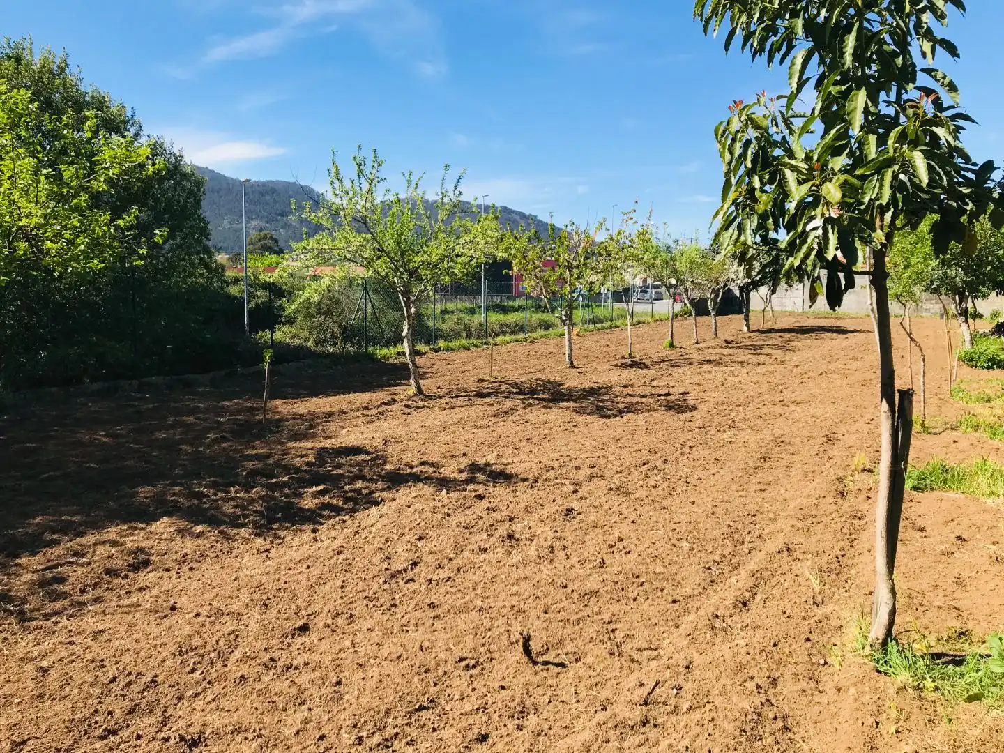 Terreno Residencial en  Estrada Rebordáns 2 - Foto 2