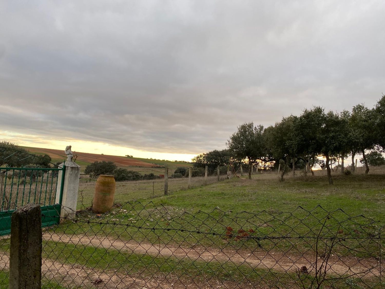 Finca rústica en Avenida de Constitución s/n - Foto 22