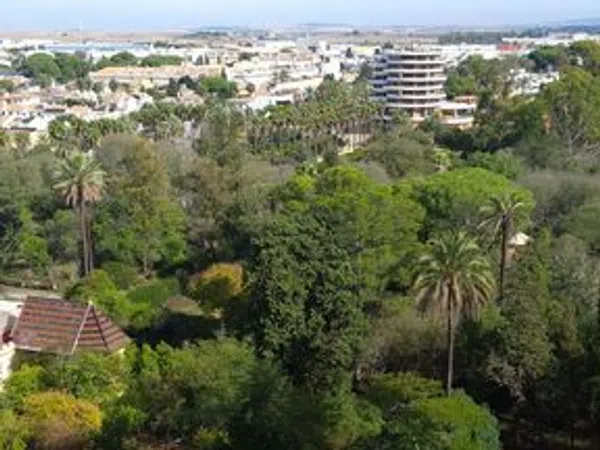 Piso en calle Ursulinas, 2 - Foto 24