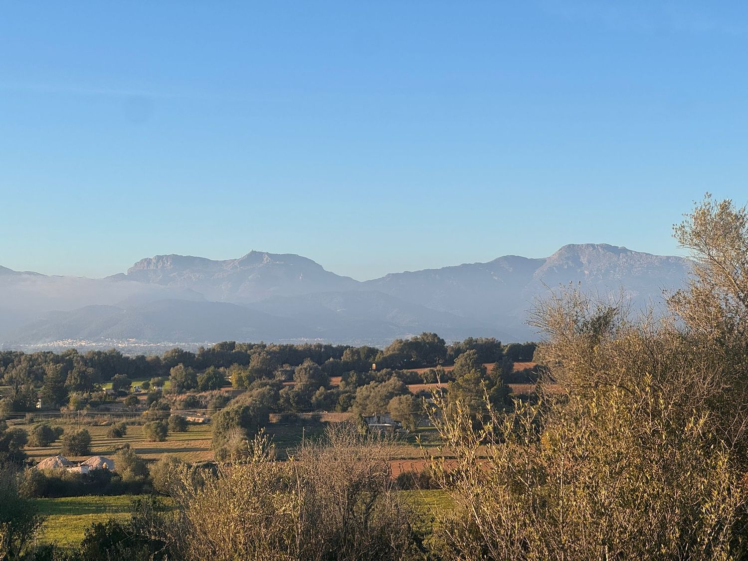 Finca rústica en Camino CamÍ de Son Bernat s/n - Foto 6
