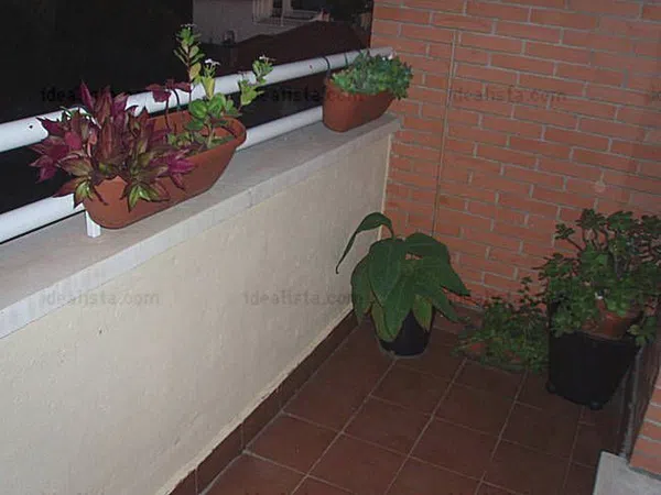 Piso en Calle de los Cedros, 67, Coimbra - Guadarrama, Coimbra - Guadarrama - Foto 8