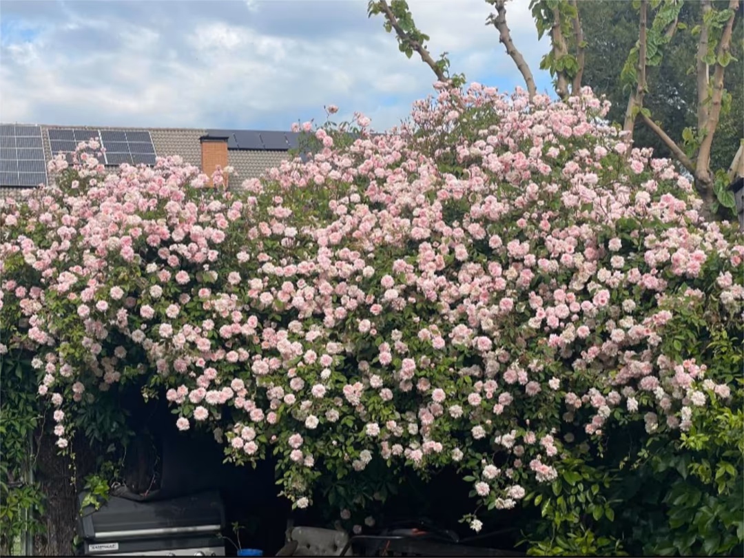 Casa adosada en  Avenida de Gaudí 2 - Foto 30