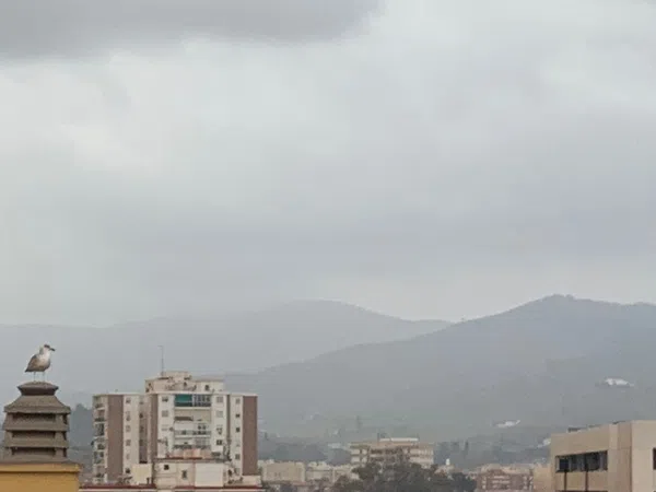 Ático en calle Mazarredo, 1 - Foto 30