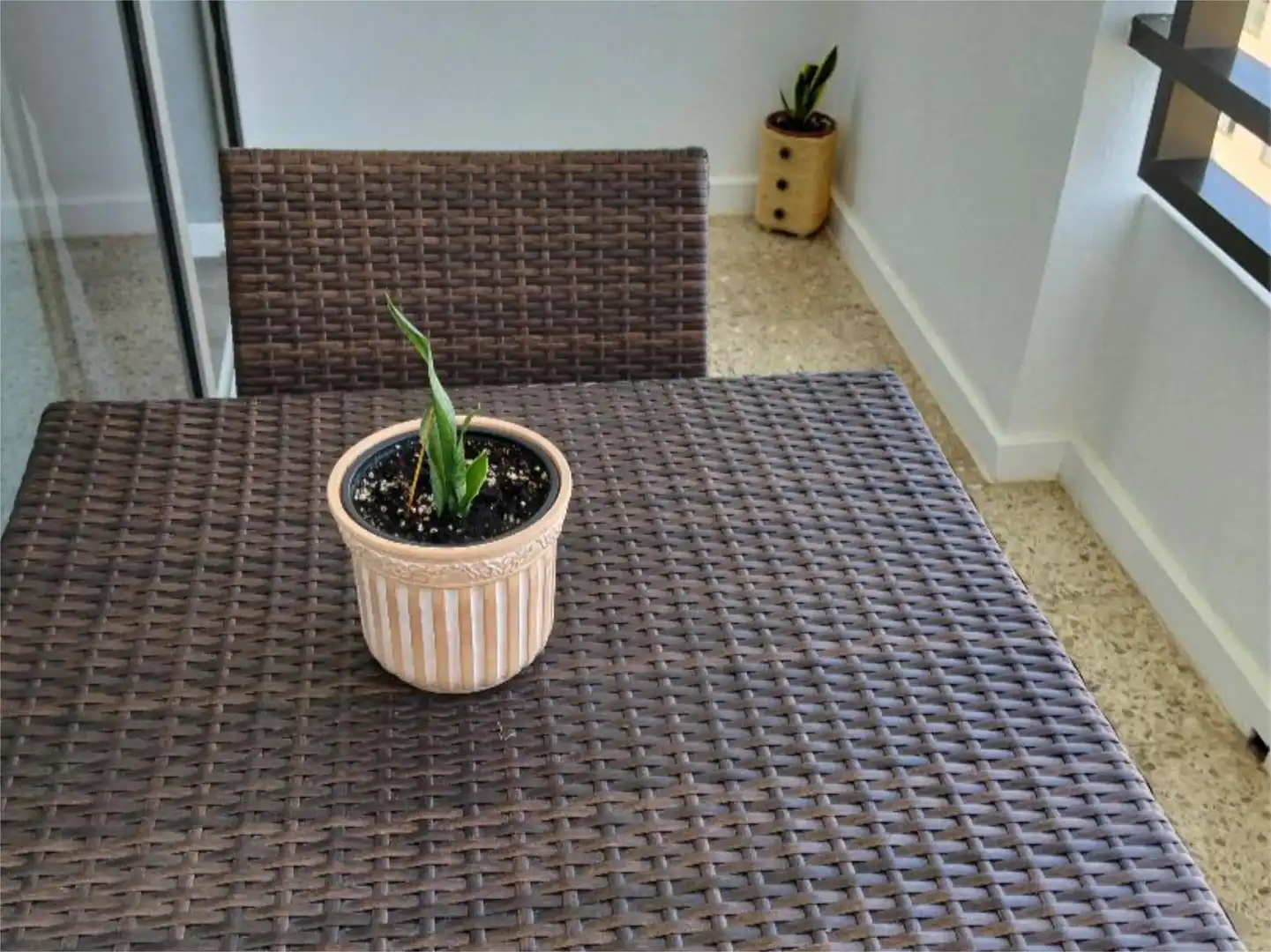 Estudio en  Calle del Doctor Ingram 8 - Foto 11