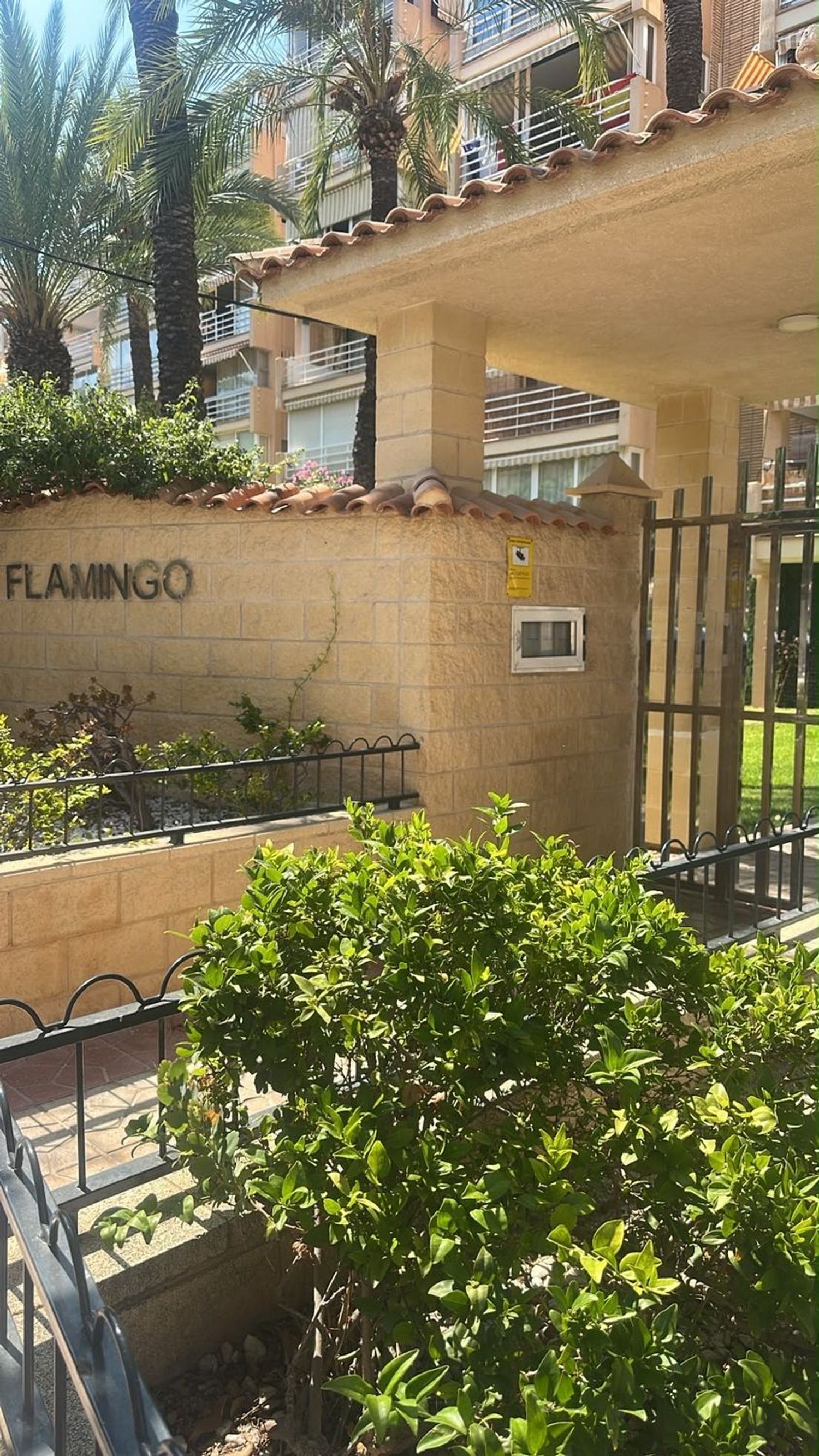 Piso en Avenida Benidorm, 12, Playa de San Juan - Foto 4