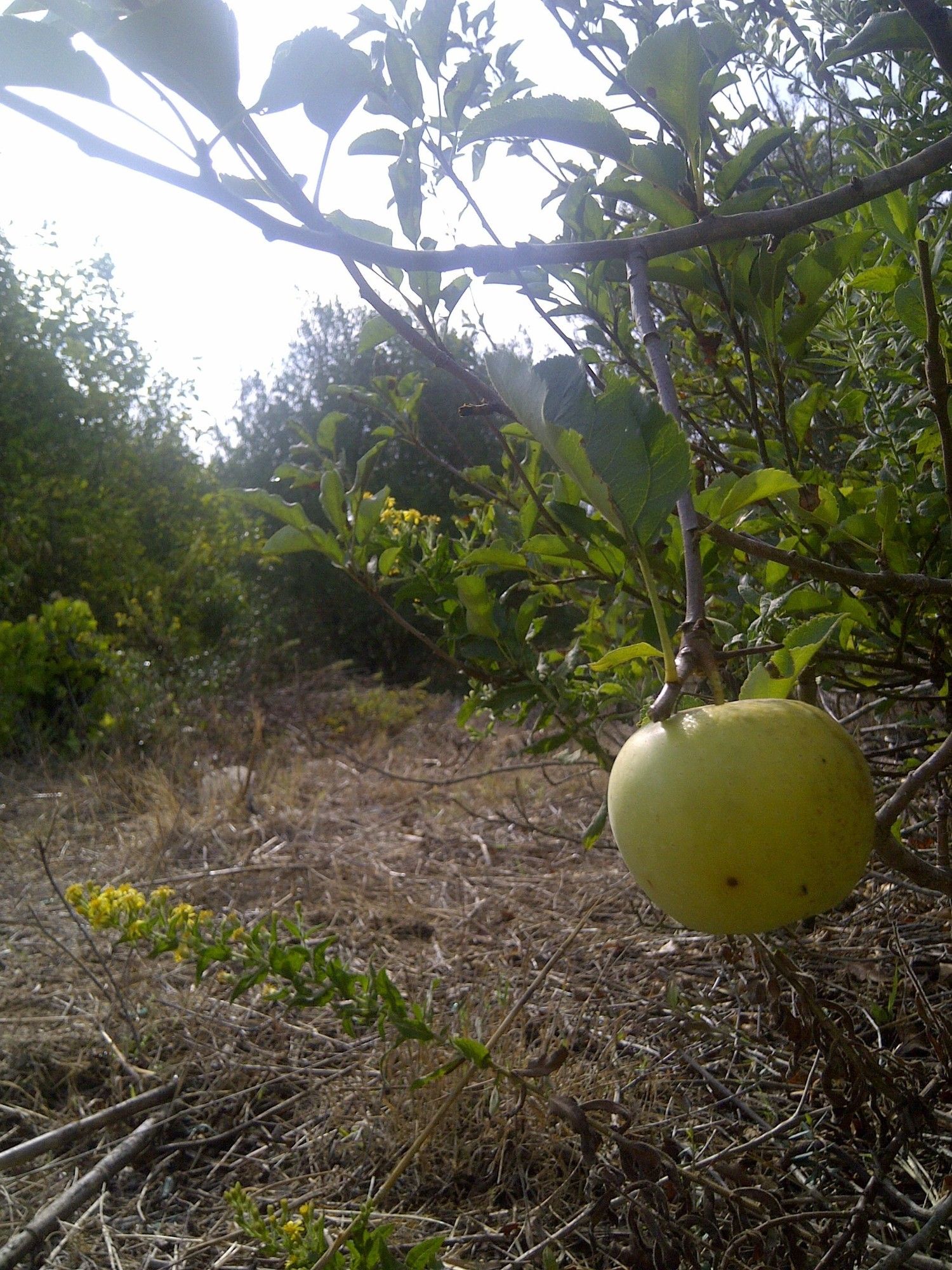 Casa independiente en camino de Melilla s/n - Foto 15